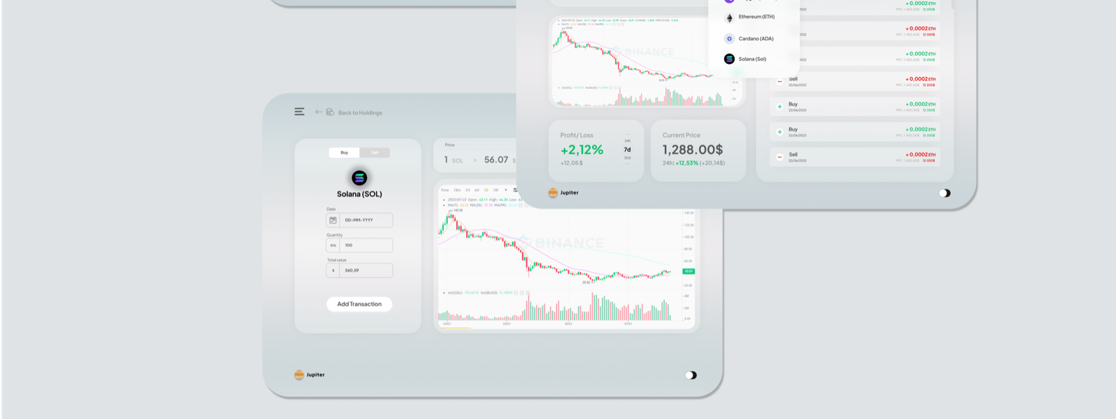 Coin detail — Solana transaction form, Binance chart, profit/loss and history